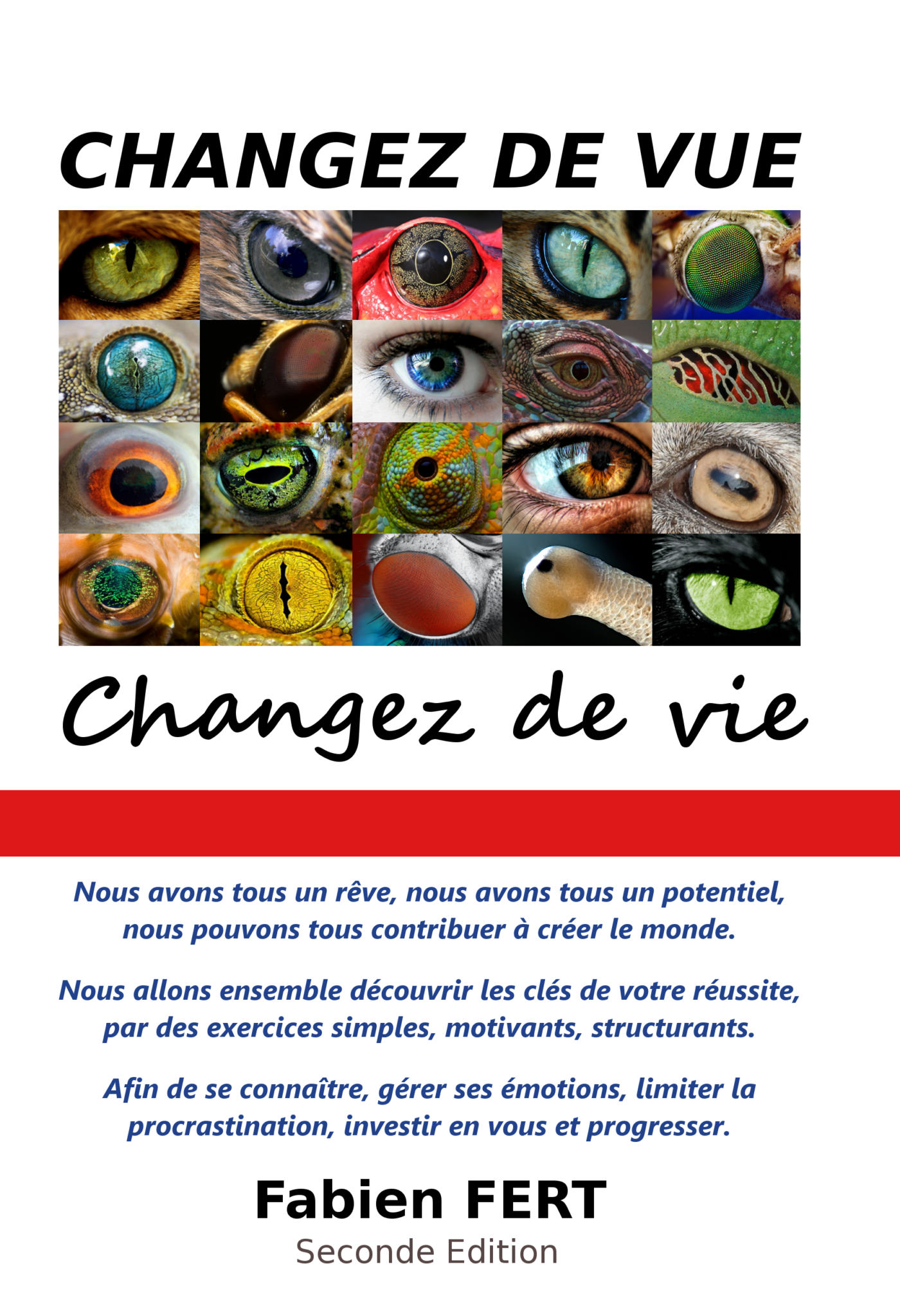 Changez de vue, changez de vie - Fabien Fert